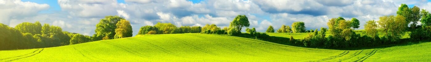 COMPROMISO CON EL MEDIO AMBIENTE