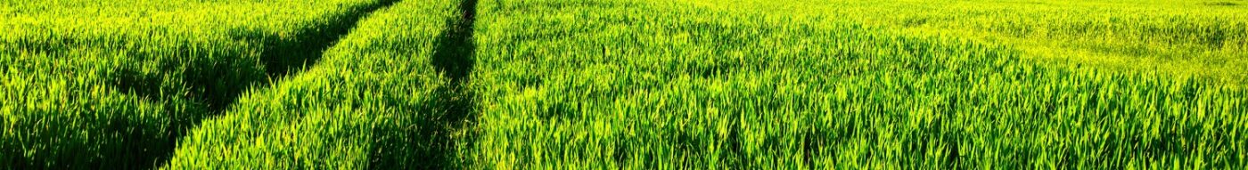 COMPROMISO CON EL MEDIO AMBIENTE